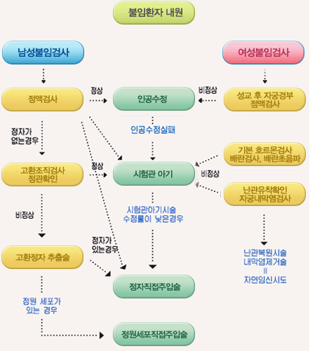 난임치료 과정절차 이미지